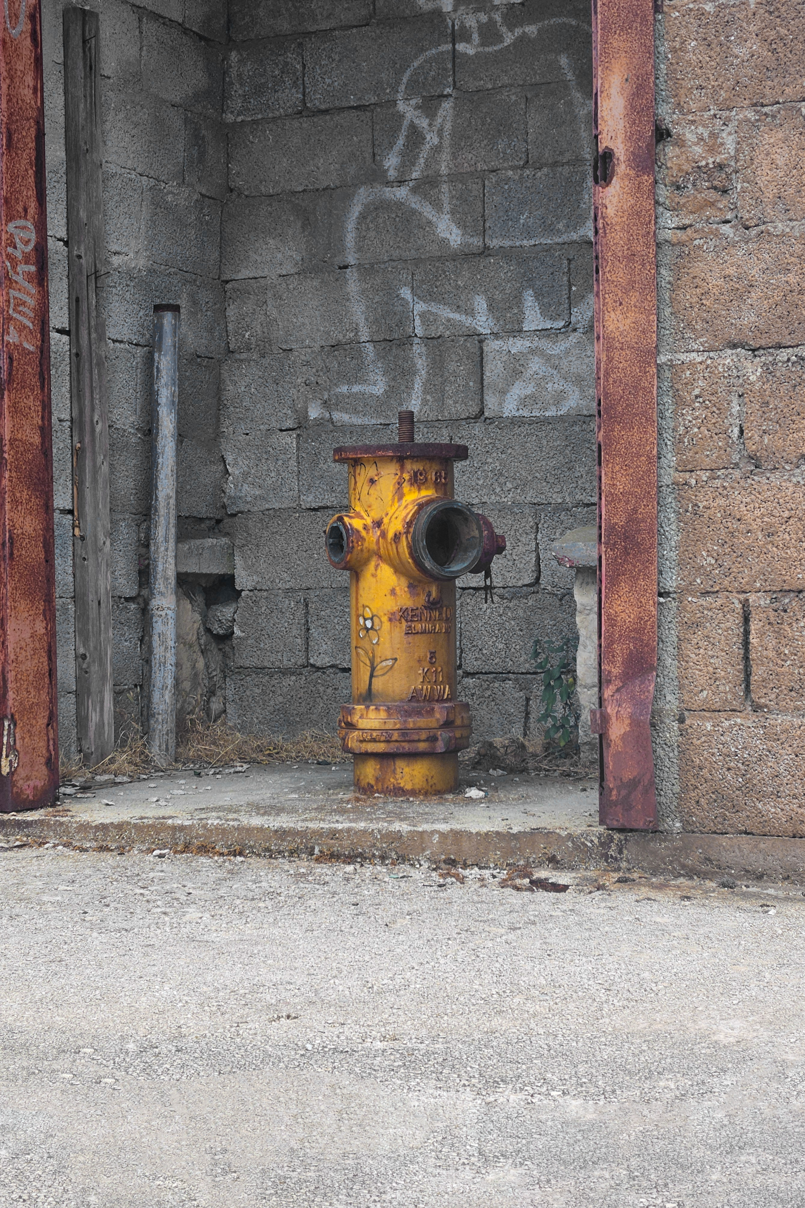 Abandoned Fire Hydrant